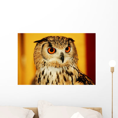 Owl Wall Mural shown on a wall