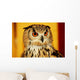 OWL Wall Mural