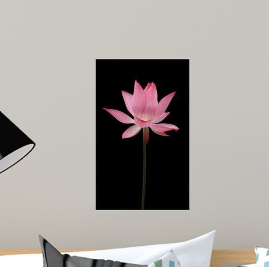 BL Wall Mural