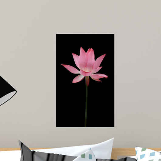 BL Wall Mural