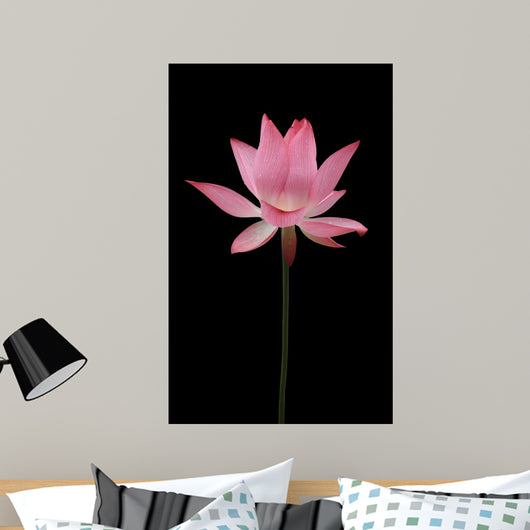BL Wall Mural