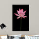 BL Wall Mural