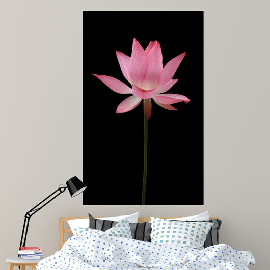 BL Wall Mural