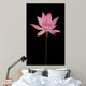 BL Wall Mural