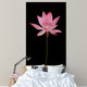 BL Wall Mural
