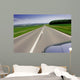 Fast moving car on road Wall Mural