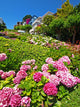Lombard Street Wall Mural