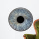 eye3 Wall Decal