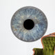 eye3 Wall Decal