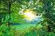 Summer Forest Wall Decal Design 1