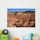 Cedar Breaks National Monument Utah USA Wall Mural
