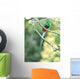 resplendent quetzal, costa rica Wall Mural