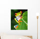Red Eyed Green Tree Frog Wall Mural