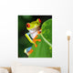 Red Eyed Green Tree Frog Wall Mural