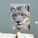 snow leopard full frame Wall Mural