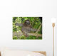 Three Toed Sloth Nicaragua Wall Mural