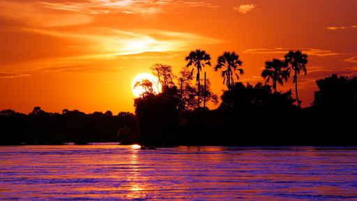 Sunset Zambezi Wall Decal