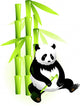 Bamboo and Panda Wall Decal