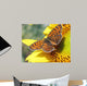 Butterfly Wall Mural