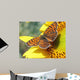 Butterfly Wall Mural