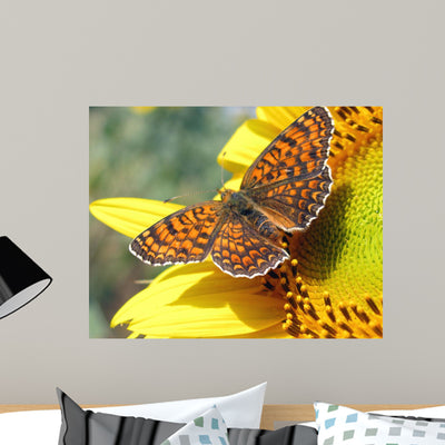 Butterfly Wall Mural shown on a wall