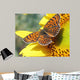 Butterfly Wall Mural