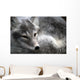 Arctic Fox Wall Mural
