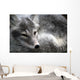 Arctic Fox Wall Mural