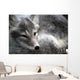 Arctic Fox Wall Mural