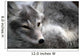 Arctic Fox Wall Mural