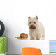 west highland white terrier licking lips standing beside dish Wall Decal