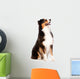 Black and Brown Australian Wall Mural