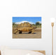 Mountain Tortoise Wall Mural