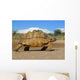 mountain tortoise Wall Mural