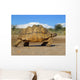 mountain tortoise Wall Mural