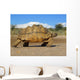 mountain tortoise Wall Mural