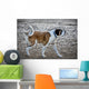 St Bernard Dog Wall Mural