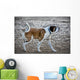 St Bernard Dog Wall Mural