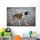 St Bernard Dog Wall Mural