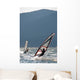 Windsurfers at the garda lake in Italy Wall Mural
