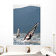 Windsurfers at the garda lake in Italy Wall Mural