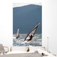 Windsurfers at the garda lake in Italy Wall Mural