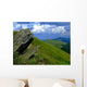 Trail Wall Decal Design 4