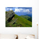 Trail Wall Decal Design 4