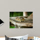 Chipmunk Wall Mural