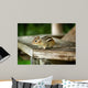 Chipmunk Wall Mural