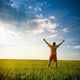 Happy Man Wall Decal