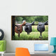 Saddles Wall Mural