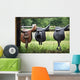 Saddles Wall Mural