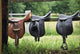 Saddles Wall Mural